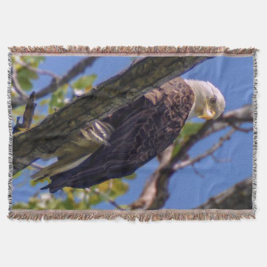 Bald Eagle Throw Blanket Decke (Vorderseite)