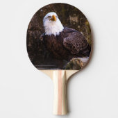 Bald Eagle Tischtennis Schläger (Vorderseite)