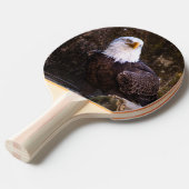 Bald Eagle Tischtennis Schläger (Vorderseite)