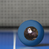 Bald Eagle Tischtennisball (Netto)