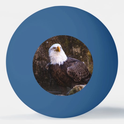 Bald Eagle Tischtennisball (Vorderseite)