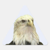 Bald Eagle Triangle Sticker (Vorderseite)