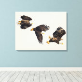 Bald Eagle Triple Flight Leinwanddruck (Insitu (Holzboden))