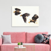 Bald Eagle Triple Flight Leinwanddruck (Insitu (Wohnzimmer))