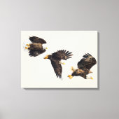 Bald Eagle Triple Flight Leinwanddruck (Vorderseite)