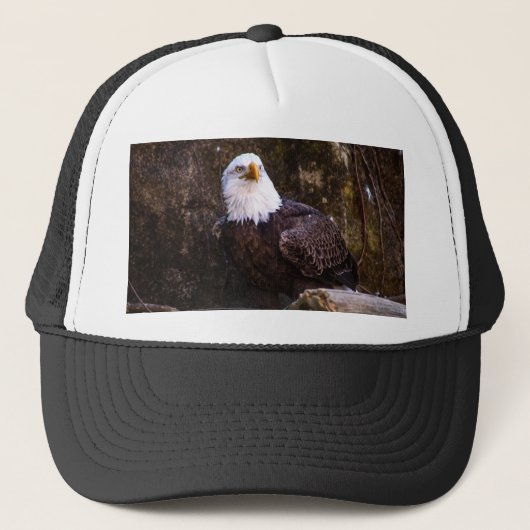 Bald Eagle Truckerkappe (Vorderseite)