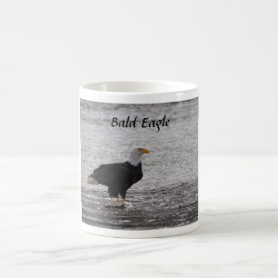 Bald Eagle über Lachs Kaffeetasse
