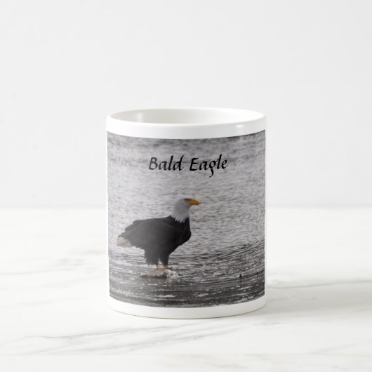 Bald Eagle über Lachs Kaffeetasse (Mittel)