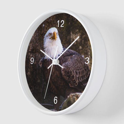Bald Eagle Uhr (Winkel)