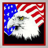 Bald Eagle und American Flag Poster (Vorne)