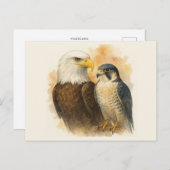 Bald Eagle und Peregrine Falknerei - Falconeria Lo Postkarte (Vorne/Hinten)