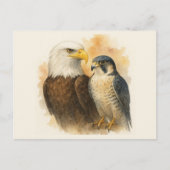 Bald Eagle und Peregrine Falknerei - Falconeria Lo Postkarte (Vorderseite)