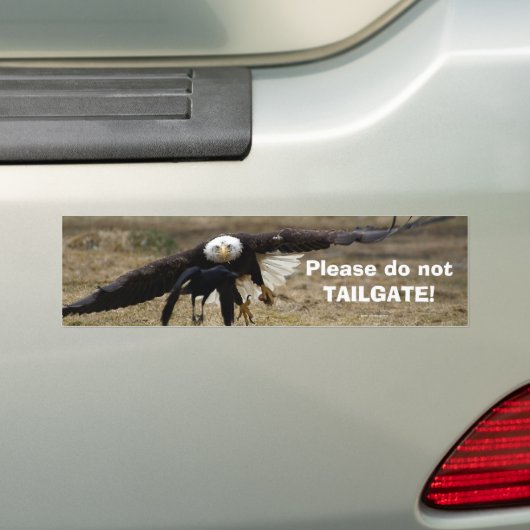Bald Eagle und Raven Chase Funny Autoaufkleber (Auf Auto)