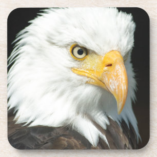 Bald Eagle Untersetzer