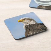 Bald Eagle Untersetzer (Linke Seite)