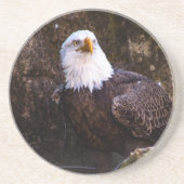 Bald Eagle Untersetzer (Vorne)