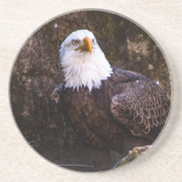 Bald Eagle Untersetzer