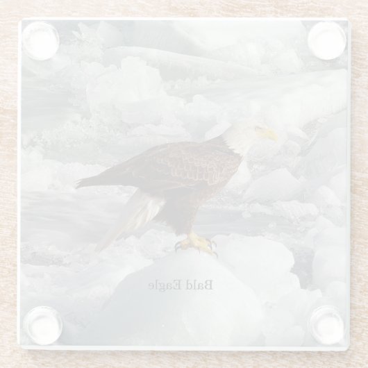 Bald-Eagle-Untersetzer Glasuntersetzer (Rückseite)