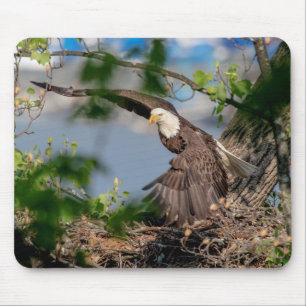 Bald Eagle verlassend Nest Mousepad