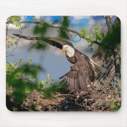 Bald Eagle verlassend Nest Mousepad (Vorne)