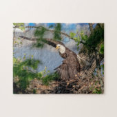 Bald Eagle verlassend Nest Puzzle (Horizontal)