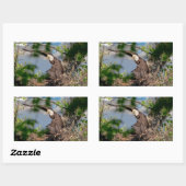 Bald Eagle verlassend Nest Rechteckiger Aufkleber (Blatt)