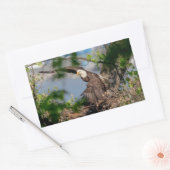 Bald Eagle verlassend Nest Rechteckiger Aufkleber (Umschlag)