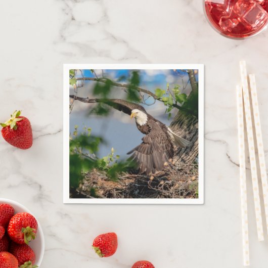 Bald Eagle verlassend Nest Serviette (Beispiel)