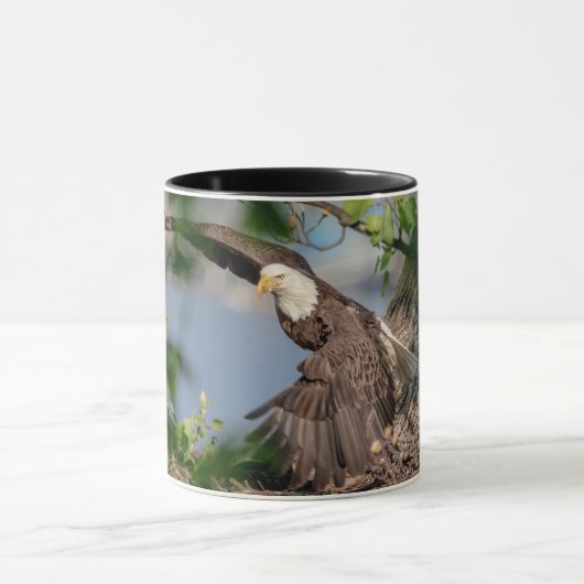 Bald Eagle verlassend Nest Tasse (Zentrum)