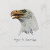Bald Eagle Vigor & Serenity anpassbar Postkarte (Vorderseite)