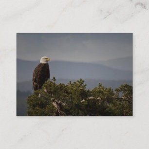 Bald Eagle - Visitenkarte