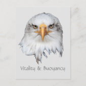 Bald Eagle Vitality & Buoyancy anpassbar Postkarte (Vorderseite)