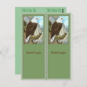 Bald Eagle Vogelbeobachtung Lesezeichen Postkarte (Vorne/Hinten)