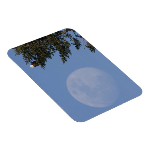 Bald Eagle | Vollmond ansteigen Magnet (Rechte Seite)