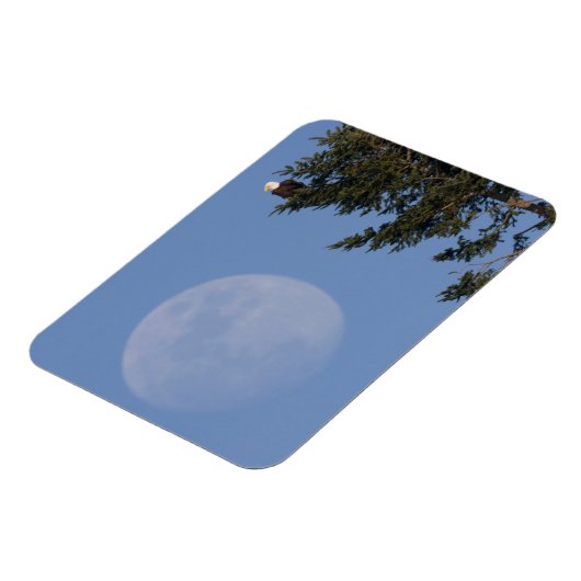 Bald Eagle | Vollmond ansteigen Magnet (Linke Seite)