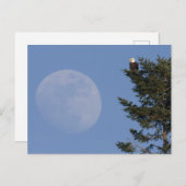 Bald Eagle | Vollmond ansteigen Postkarte (Vorne/Hinten)