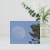 Bald Eagle | Vollmond ansteigen Postkarte (Stehend Vorderseite)