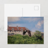 Bald Eagle vorbei an Fort Ticonabweicha Postkarte (Vorne/Hinten)