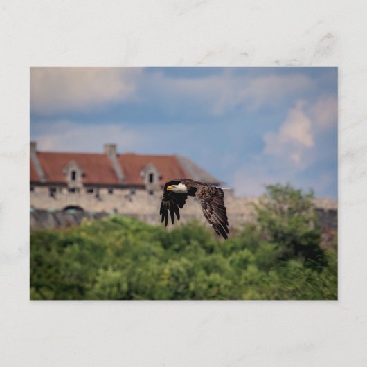 Bald Eagle vorbei an Fort Ticonabweicha Postkarte (Vorderseite)