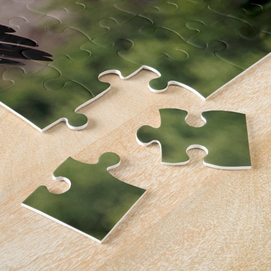 Bald Eagle vorbei an Fort Ticonabweicha Puzzle (Seite)