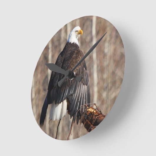 Bald Eagle Wall Clock Runde Wanduhr (Winkel)