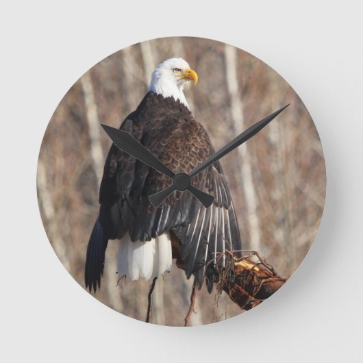 Bald Eagle Wall Clock Runde Wanduhr (Vorderseite)