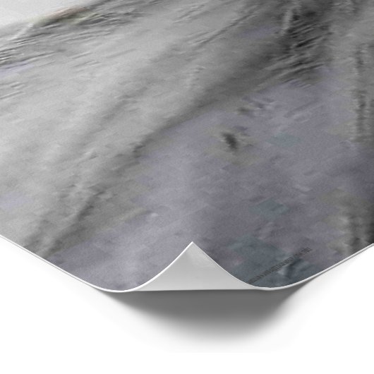 Bald Eagle wapcn Poster (Ecke)