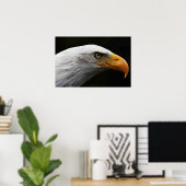 Bald Eagle wapcn Poster (Heimbüro)