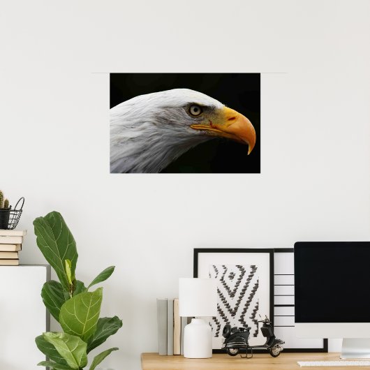 Bald Eagle wapcna Poster (Heimbüro)