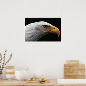Bald Eagle wapcna Poster (Küche)