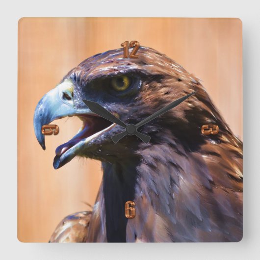 Bald Eagle Wildlife Art Portrait II Quadratische Wanduhr (Vorderseite)