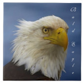 Bald Eagle Wildlife Foto Gift Tile oder Trivet Fliese (Vorderseite)