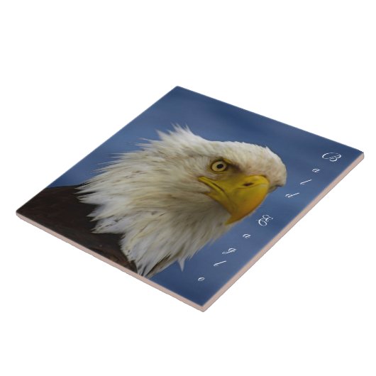 Bald Eagle Wildlife Foto Gift Tile oder Trivet Fliese (Seite)