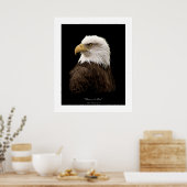 Bald Eagle Wildlife Poster Print (Küche)